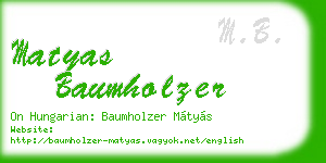 matyas baumholzer business card