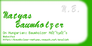 matyas baumholzer business card